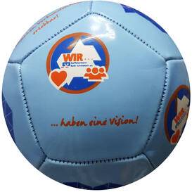 12 panel football