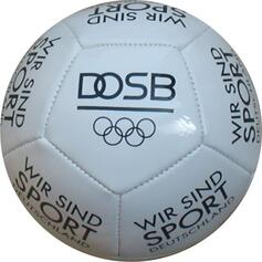 12 Panel Miniball