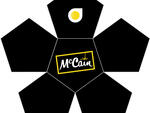 12 Panel Design - Miniball Templates - Custom made promotional balls
