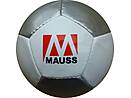 12 panel mini ball MAUSS