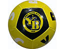 12 panel mini ball Young Boys