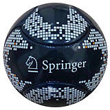 6 Panel Miniball Springer