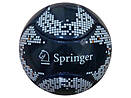 6 panel mini ball Springer