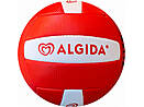 Volleyball ALGIDA