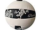 Beach Volleyball Geko