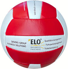 Match custom Volleyball insignio