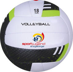 Leisure & Promotion custom Volleyball