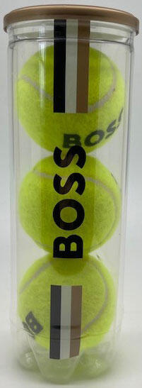 Plastic tube with transparent inlay