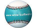 Baseball ball with website