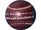 Baseball ball leisure