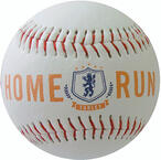 Custom Baseball Training